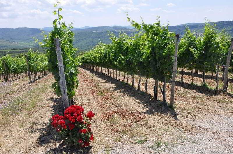 Borgo Castelvecchi Residenza Depoca Hotel Radda in Chianti Kültér fotó