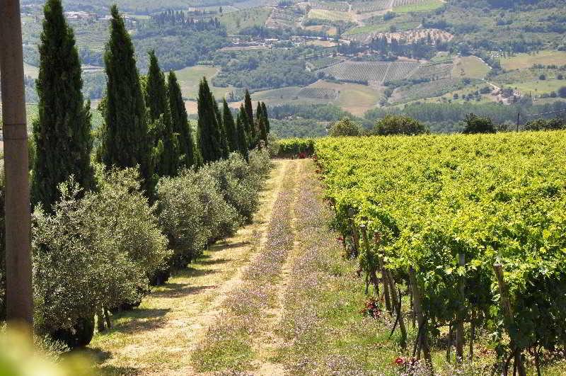 Borgo Castelvecchi Residenza Depoca Hotel Radda in Chianti Kültér fotó